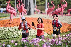 BIB: 
                            <button type="button" onclick="openModal(27793499)" class="btn btn-primary btn-sm float-right btn-popup" data-toggle="modal" data-target=".modal-high-quality">
                        <i class="fas fa-shopping-cart"></i> Add to Cart
                    </button>
                                            <button type="button" onclick="isThisMe(27793499, true)" class="btn btn-success btn-sm float-right btn-popup btn-isme hidden" data-toggle="tooltip" data-placement="bottom" title="นี่คือรูปของคุณใช่ไหม คลิกที่นี่เพื่อเอาเข้าอัลบั้ม">
                        <i class="fas fa-plus"></i> Add to album
                    </button>
                    <button type="button" onclick="isThisMe(27793499, false)" class="btn btn-warning btn-sm float-right btn-popup btn-isnotme hidden">
                        <i class="fas fa-ban"></i> Remove from album
                    </button>